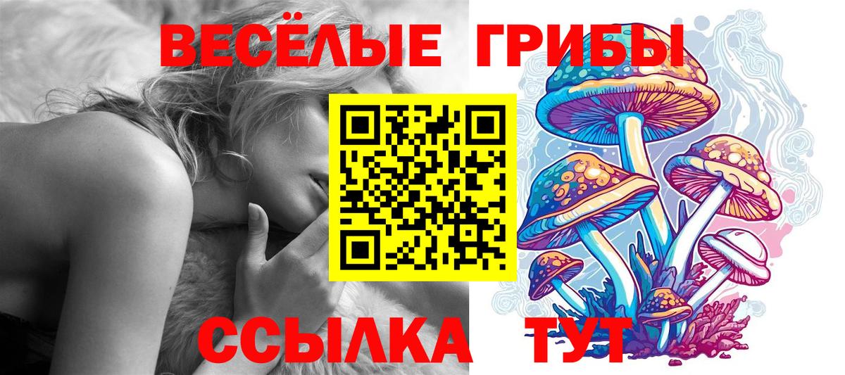 Галлюциногенные грибы прущие грибы Красногорск